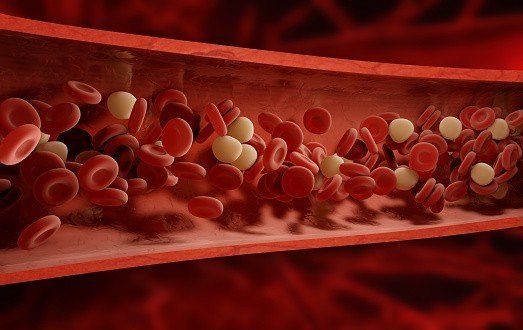 8 أعراض لضيق الأوعية الدموية الطرفية